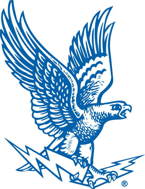 Air Force Falcons 1963-1994 Primary Logo diy iron on heat transfer